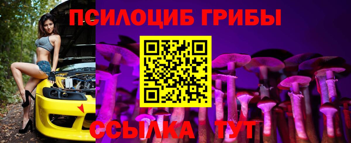 Майкоп  Галлюциногенные грибы MAGIC MUSHROOMS  наркошоп  Вход с VPN 